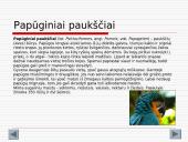 Gyvūnijos aprašymai 14 puslapis