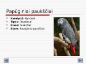 Gyvūnijos aprašymai 15 puslapis