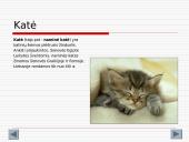 Gyvūnijos aprašymai 3 puslapis