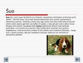 Gyvūnijos aprašymai 5 puslapis