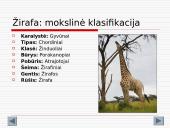 Gyvūnijos aprašymai 9 puslapis