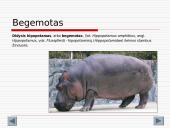 Gyvūnijos aprašymai 10 puslapis