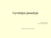 Gyvūnijos pasaulyje