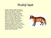 Gyvūnijos pasaulyje 13 puslapis