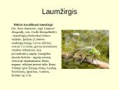 Gyvūnijos pasaulyje 17 puslapis