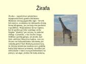 Gyvūnijos pasaulyje 4 puslapis