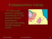 Gyvūninės ląstelės sandara 5 puslapis