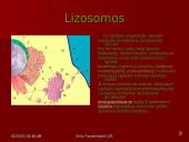 Gyvūninės ląstelės sandara 7 puslapis