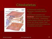 Gyvūninės ląstelės sandara 9 puslapis