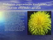 Gyvūnų, augalų ir grybų vaizdavimas biologijos, literatūros, dailės ir informacinių technologijų 8 klasių pamokose 3 puslapis