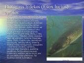 Gyvūnų, augalų ir grybų vaizdavimas biologijos, literatūros, dailės ir informacinių technologijų 8 klasių pamokose 4 puslapis