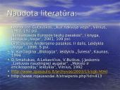 Gyvūnų, augalų ir grybų vaizdavimas biologijos, literatūros, dailės ir informacinių technologijų 8 klasių pamokose 8 puslapis