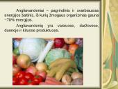 Gliukozės svarba žmogaus organizmui 3 puslapis