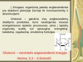 Gliukozės svarba žmogaus organizmui 4 puslapis