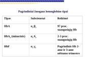 Globinų vaidmuo pernešant deguonį 19 puslapis