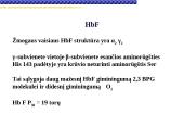 Globinų vaidmuo pernešant deguonį 20 puslapis