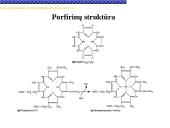 Globinų vaidmuo pernešant deguonį 5 puslapis