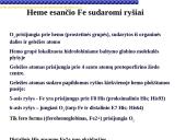 Globinų vaidmuo pernešant deguonį 6 puslapis