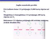 Globinų vaidmuo pernešant deguonį 9 puslapis