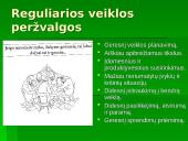 Grupinis, komandinis ir individualus darbas organizacijoje: jo pranašumai ir trūkumai 15 puslapis