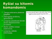 Grupinis, komandinis ir individualus darbas organizacijoje: jo pranašumai ir trūkumai 16 puslapis