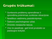 Grupinis, komandinis ir individualus darbas organizacijoje: jo pranašumai ir trūkumai 17 puslapis