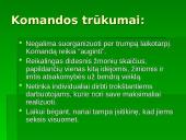 Grupinis, komandinis ir individualus darbas organizacijoje: jo pranašumai ir trūkumai 18 puslapis