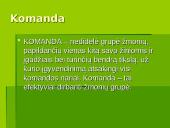 Grupinis, komandinis ir individualus darbas organizacijoje: jo pranašumai ir trūkumai 4 puslapis
