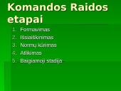 Grupinis, komandinis ir individualus darbas organizacijoje: jo pranašumai ir trūkumai 6 puslapis