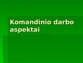 Grupinis, komandinis ir individualus darbas organizacijoje: jo pranašumai ir trūkumai 7 puslapis