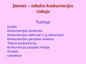 Įmonės – tobulos konkurencijos rinkoje 2 puslapis