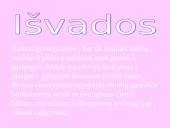 Įmonės – tobulos konkurencijos rinkoje 12 puslapis