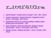 Įmonės – tobulos konkurencijos rinkoje 13 puslapis