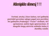 Įmonės – tobulos konkurencijos rinkoje 14 puslapis