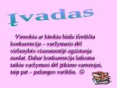 Įmonės – tobulos konkurencijos rinkoje 3 puslapis