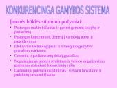 Įmonės – tobulos konkurencijos rinkoje 8 puslapis