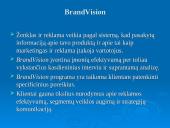 Įmonės analizė: marketingo tyrimų agentūra "Synovate" 6 puslapis