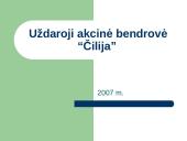 UAB "Čilija" analizė