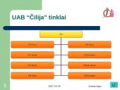 UAB "Čilija" analizė 11 puslapis