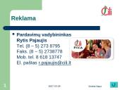 UAB "Čilija" analizė 13 puslapis