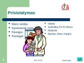 UAB "Čilija" analizė 3 puslapis