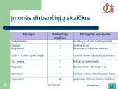 UAB "Čilija" analizė 7 puslapis