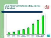 UAB "Čilija" analizė 10 puslapis