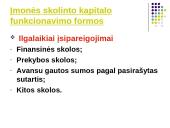 Įmonės kapitalo samprata  11 puslapis