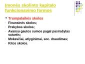 Įmonės kapitalo samprata  12 puslapis