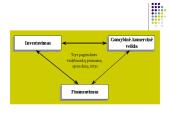 Įmonės kapitalo samprata  14 puslapis