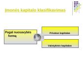 Įmonės kapitalo samprata  6 puslapis