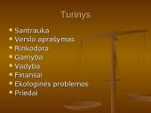 Įmonės kūrimas: grožio salonas "Eslauda" 2 puslapis