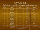 Įmonės kūrimas: grožio salonas "Eslauda" 13 puslapis