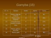 Įmonės kūrimas: grožio salonas "Eslauda" 20 puslapis